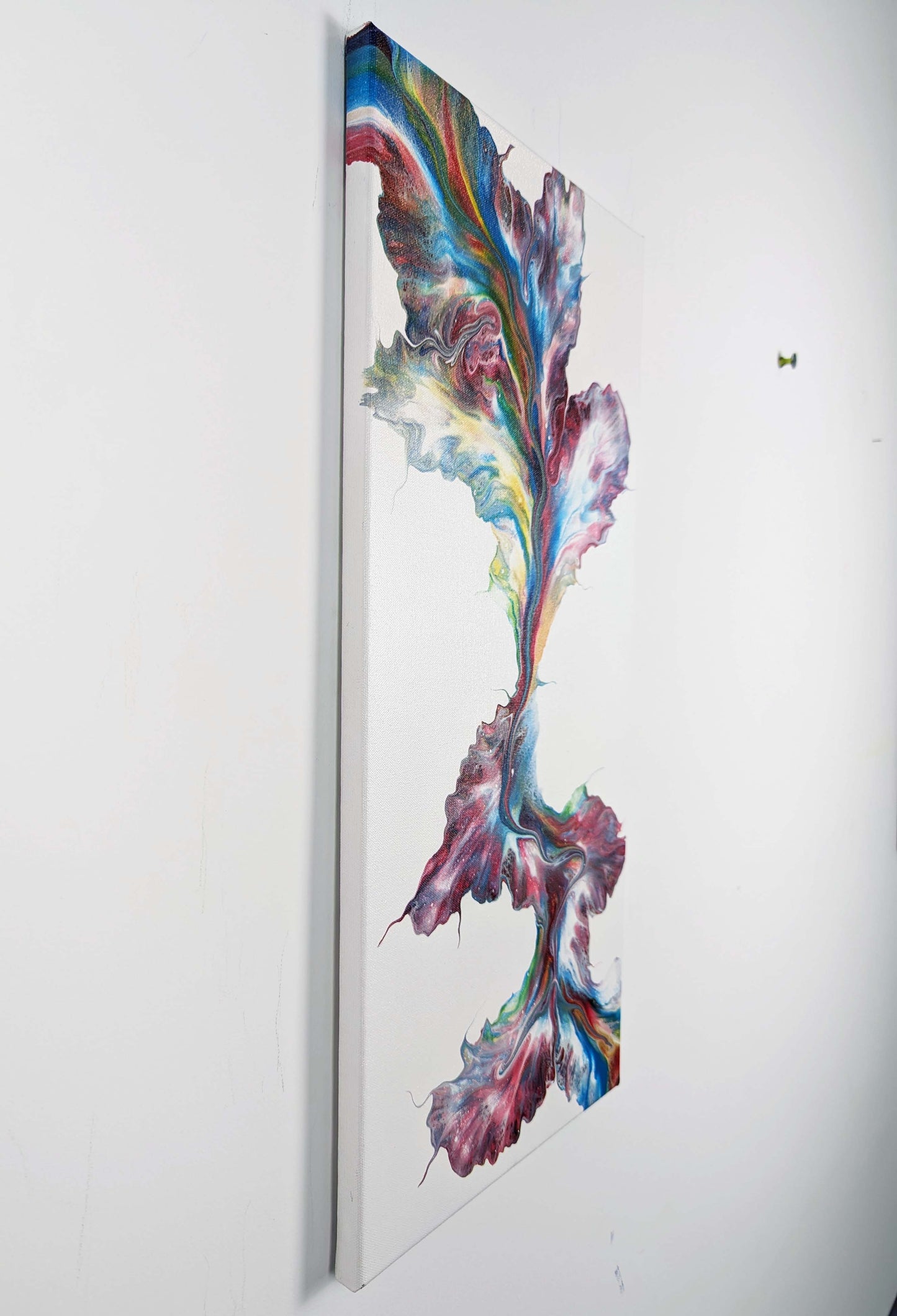 original acrylic fluid artwork named Macaw 12x24in